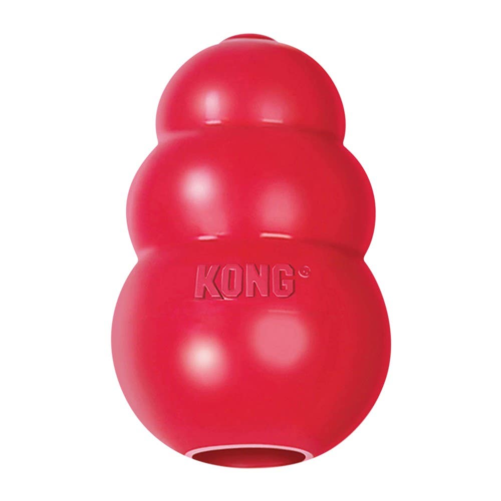 Dog squeaky toys that last store