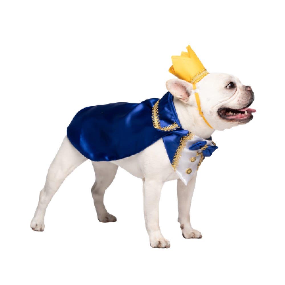 Dog clothes hotsell shop