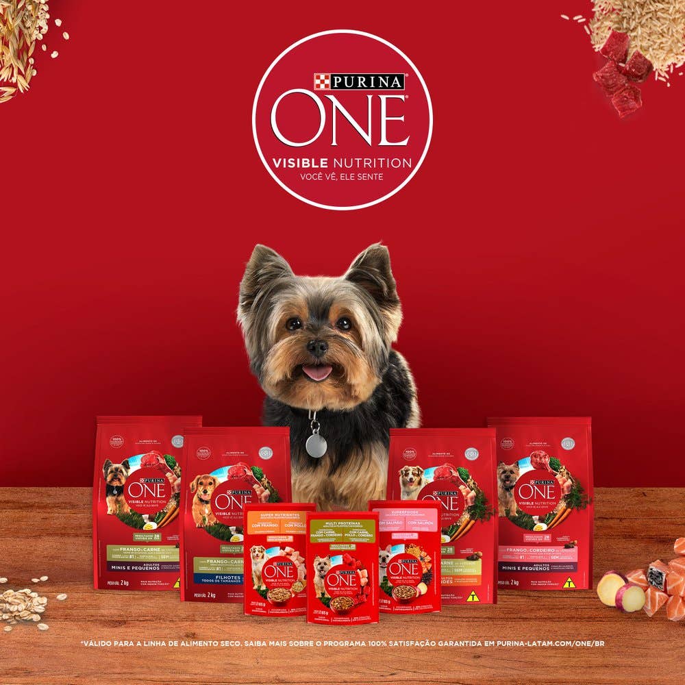 Purina one yorkshire cheap